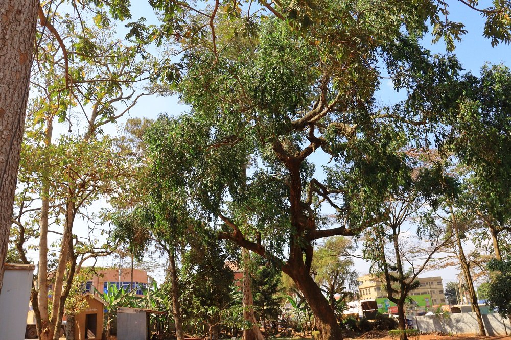 Urban Change Fund | Invest in Urban Transformation | UCOID